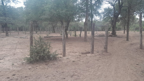 Vendo Finca En Tolloche (recibo Permutas)