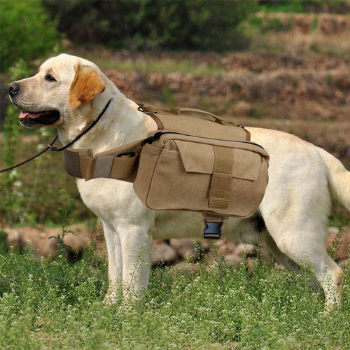 Cwa Mochila Para Perros Para Acampar, Duradera,