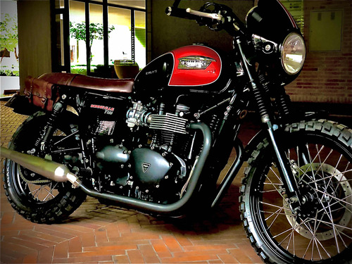 Triumph T100