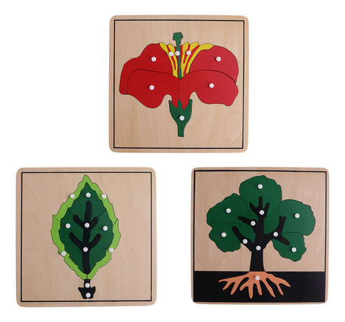 Tarjetas Didácticas Montessori De 3 Rompecabezas Botánicos (
