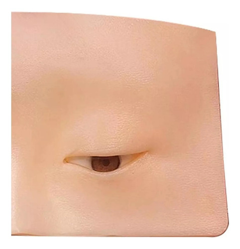 Placa De Prática De Modelo Facial De Maquiagem De Silicone