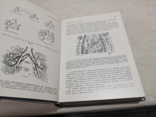 Libro. Aparato Respiratorio. 9na Ed. Cosió Villegas+1afin (Usado)