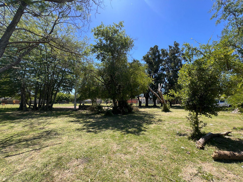 Lotes En Venta San Carlos, La Plata 149 Y 42, La Plata - 9.85 X 28.0m