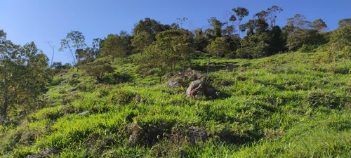Finca En La Azulita