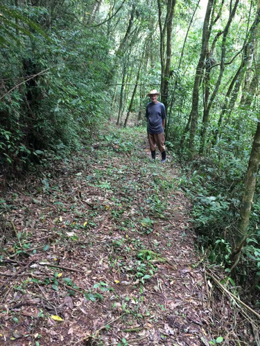 Terreno De Mata Nativa Com 44.100 M2 Verdadeiro Paraíso Para Os Amantes Da Natureza