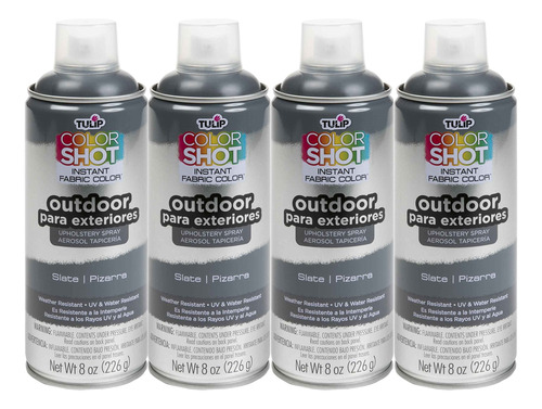 Colorshot Pintura Aerosol Para Tapiceria Exterior 8 Onza