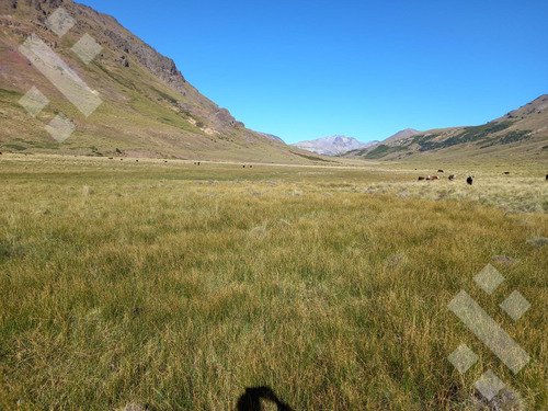 Venta De Estancia En Ruta Provincial 21, Kilómetro 31, Departamento Picunches, Paraje Huarenchenque