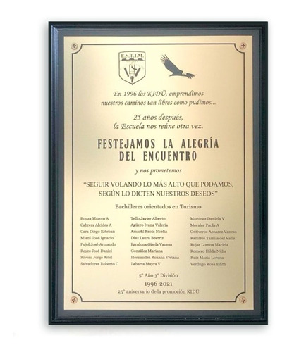 Placa Reconocimiento Homenaje Promoción 30x20