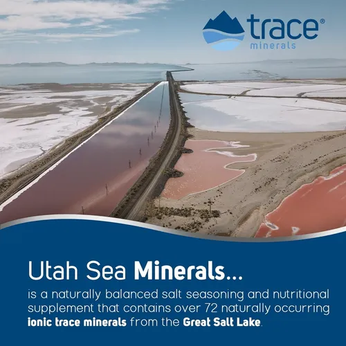 Suplemento Dietético Trace Minerals Pure Utah Sea 480 Ml