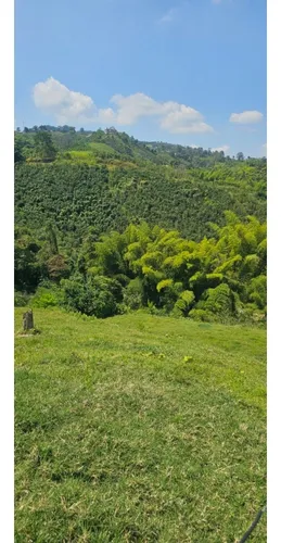 Vendo Finca 4 Cuadras Y Media Por El Bajo Español, Chinchina