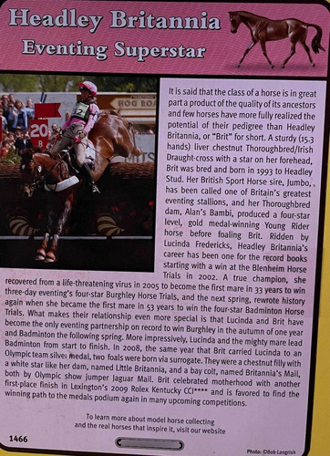 Spirit Of The Horse Breyer