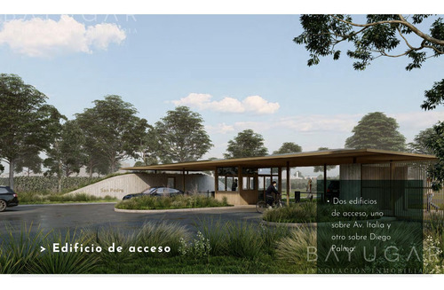 Barrio Privado San Pedro - Terrenos A La Laguna En Tigre / Nuevo Emprendimiento
