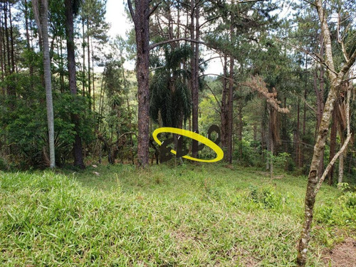 Imagem 2 de 19 de Terreno À Venda, 21250 M² Por R$ 1.100.000,00 - Jardim Nossa Senhora Das Graças - Cotia/sp - Te0873