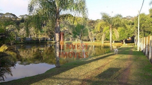 Imagem 8 de 15 de Chacara - Ref: 2217 - V-2217