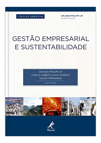 Gestão empresarial e sustentabilidade, de Philippi Junior, Arlindo. Editorial Editora Manole LTDA, capa mole em português, 2016