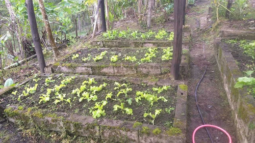 Imagem 7 de 14 de Chácara Em Juquitiba Barnabé