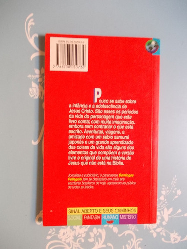Setas Na Caminhada Dos Homens (lambert Noben) E Andando Com Jesus (domingos Pellegrini) Kit De 2 Livros (Usado)