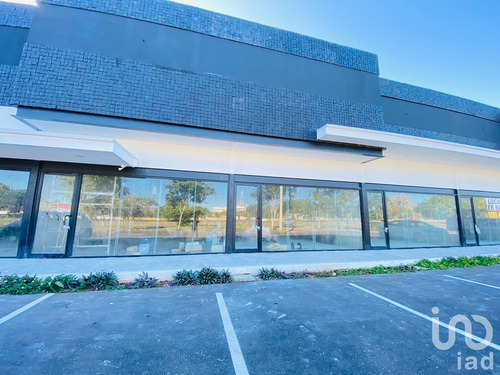 Renta Local Comercial 1 Ambiente Francisco De Montejo
