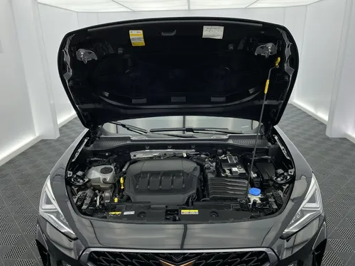 Cupra formentor 2.0 Tsi Mate Dsg