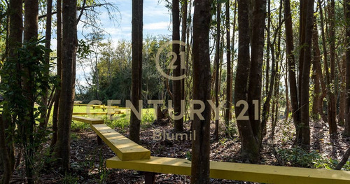 Imagen 14 de 17 de ¡última Parcela Disponible! En Reserva Frutillar Primera ...