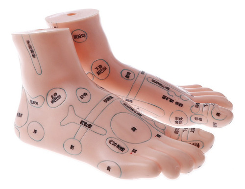 2 Unids Modelo De Acupuntura De Pies Reflexología Humana