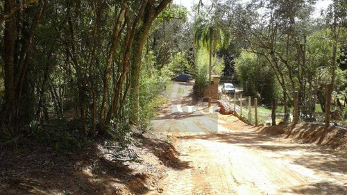 Imagem 5 de 24 de Casa Em Fase De Acabamento - Parque Florestal - Ca0892