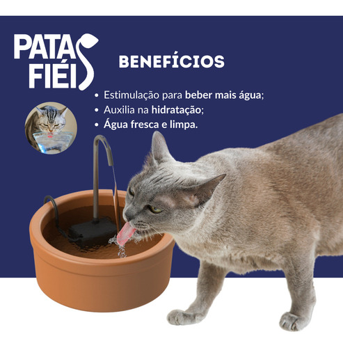 Fonte Gato Bebedouro Cerâmica 1.2l Bivolt Filtro Acessórios Patas Fiéis