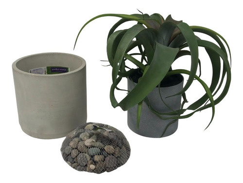 Planta Tillandsia Artificial Con Maceta Decorativa Concreto
