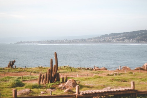 Pionero - Mirador Punta De Lobos