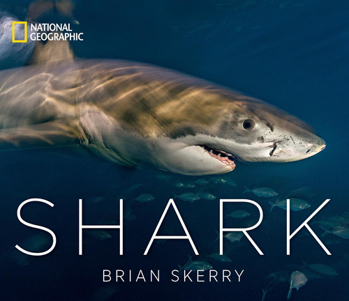 Libro: Shark