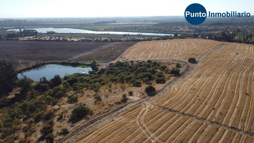 Imagen 10 de 13 de Rodeado De Lagunas. Apto Frutales.