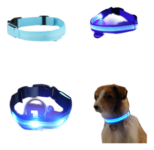 Usb Ajustable Led Mascota Perro Collar Noche Seguridad Inter