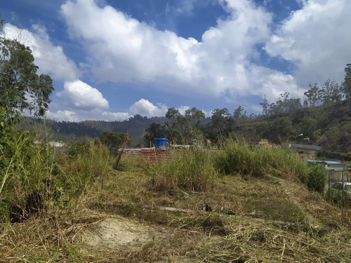 Imagen 10 de 14 de Terreno 1200m2 Colinas De Carrizal