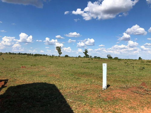 Imagem 13 de 13 de Fazenda Para Venda Em Nova Alvorada Do Sul, Rural - Fazgu 600_1-1946712