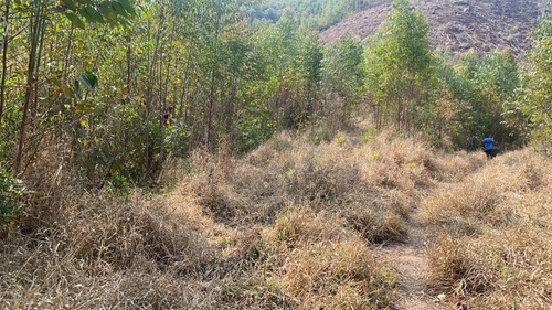 Imagem 8 de 14 de 34ei Terreno Igaratá Com Entrada Apenas De $ 5 Mil