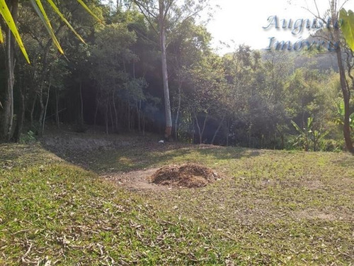 Imagem 5 de 29 de Chácaras À Venda Em Mairiporã/sp - Compre O Seu Chácaras Aqui! - 1469994