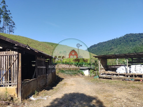 Imagem 10 de 28 de Fazenda À Venda No Vale Do Ribeira Sp Medindo 87,5 Alqueires Paulista Ref0978