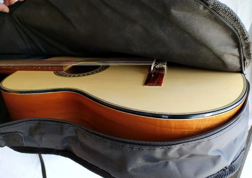 Funda Para Guitarra Acustica Doble Correa - Envio Gratis | Meses sin  intereses