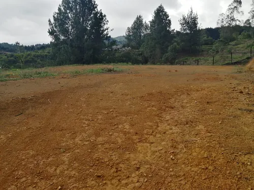 Lindos Lotes En Venta Guarne