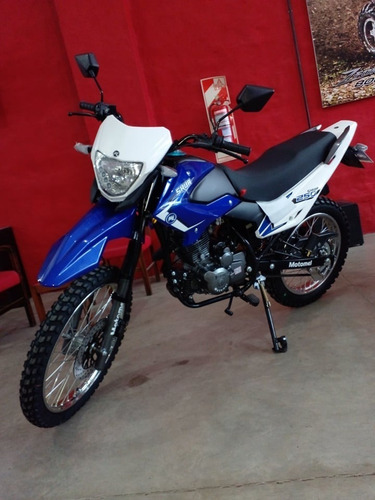 Imagen 2 de 5 de Motomel Skua 250 Ram Motor Store