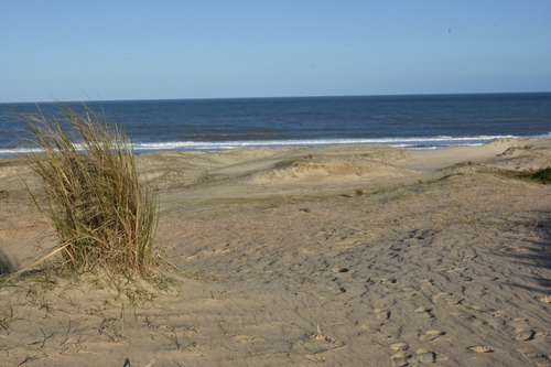 Imagen 1 de 8 de Oportunidad - Excelente Terreno En Buena Zona, Próximo A La Playa