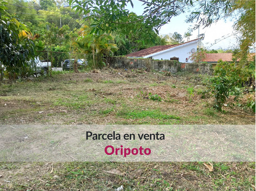 Parcela En Venta En La Mejor Calle Cerrada De Oripoto