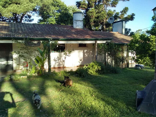 Imagen 9 de 13 de Casa Quinta Con Gran Parque. A 150 Mts De Ruta 88