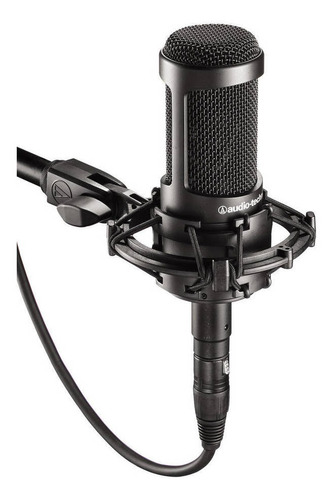 Micrófono Audio Technica De Condensador De Estudio