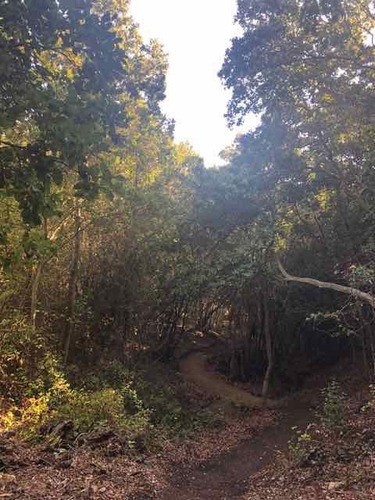 Imagen 6 de 14 de Bosques Fundo La Laguna