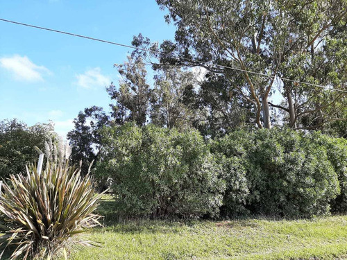 Excelente Lote En Venta De 1875 M² - Miramar Pcia De Buenos