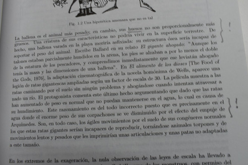 De King Kong A Einstein: La Física En La Ciencia Ficciónc195 (Usado)