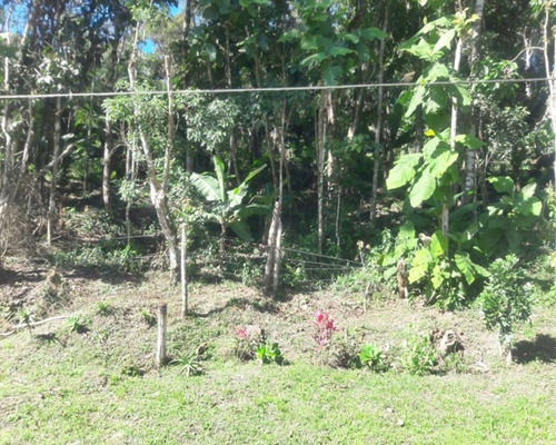 Imagem 17 de 19 de Chácara À Venda Em Juquitiba - 270 - 32982810