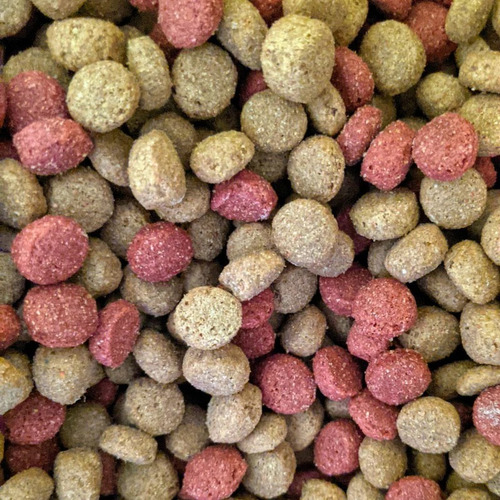 Alimento Seco Para Perro Megacan Adulto De 25kg
