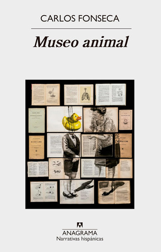 Libro: Museo Animal (narrativas Hispánicas) (edición En